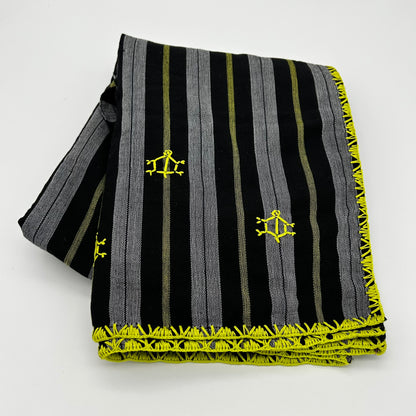 TAPIS