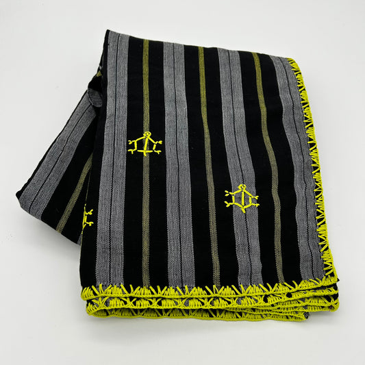 TAPIS